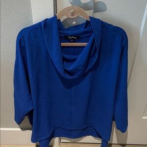 Blue Cowl Neck Blouse